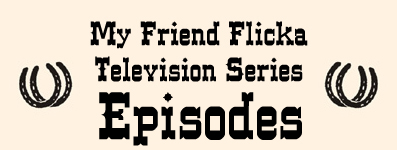 Television Series Episodes